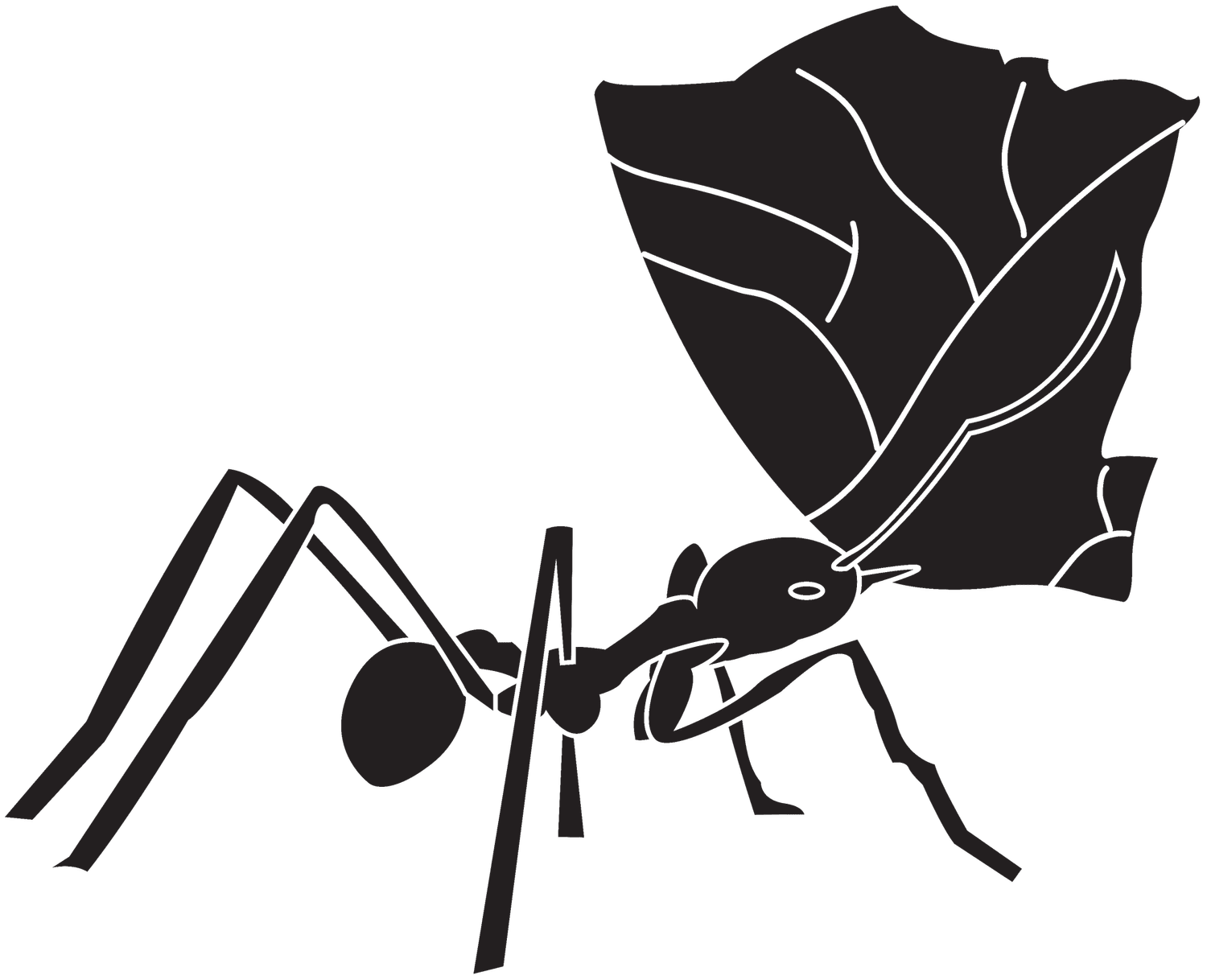 Leaf Logo